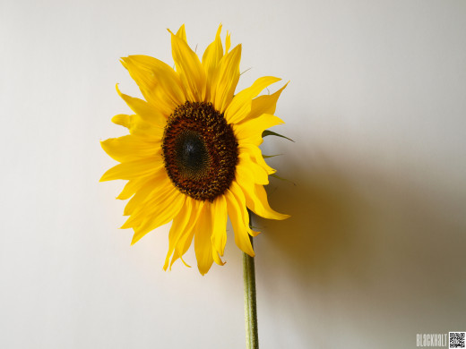 669102 (a): :1600x1200